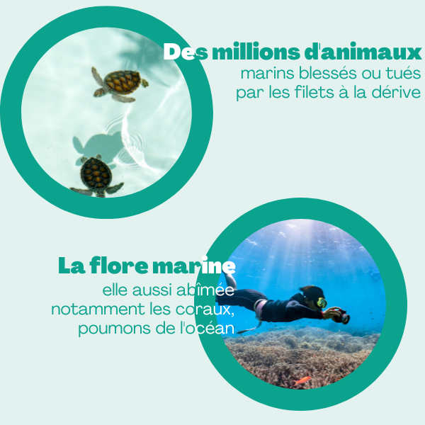 les filets de pêche fantômes blessent ou tuent des millions d'animaux marins et endommagent la flore marine notamment les coraux poumons de l'océan